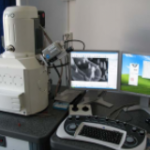 Scanning electron microscope Evo 50 XVP with EDAX attachment (Carl Zeiss NTS )