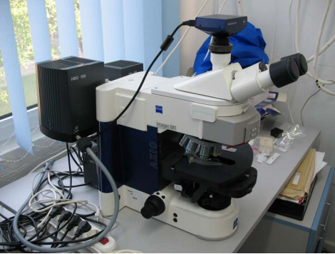 Fluorescence Microscope AxioMat 1 (Carl Zeiss) (Engelmann Scientific)
