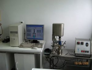 Teflon lined, low pressure autoclave