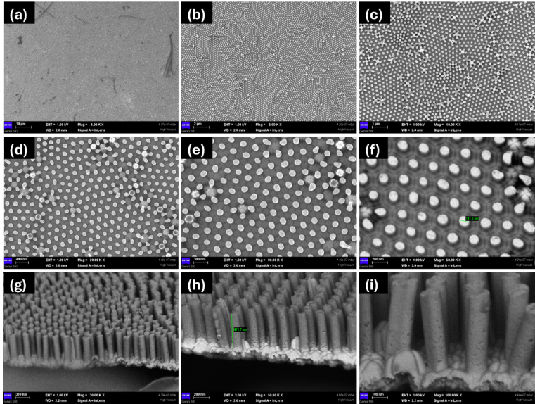 Matrice 3D de nanopilari de nichel